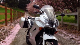Honda VFR 800