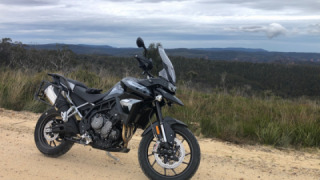 Triumph Tiger 900 - Trumpet