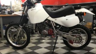 Honda XR 650L - white pig