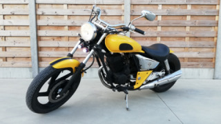 Daelim VT - Bumblebee