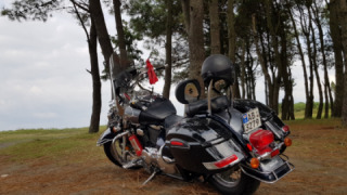 Suzuki VL 800 Volusia