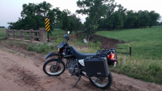 Suzuki DR 650 - Bucephalus