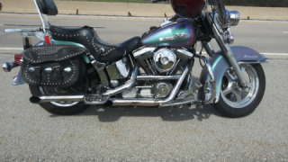 Harley-Davidson Softail Classic - Rango