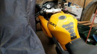Suzuki SV 650 - Bumble