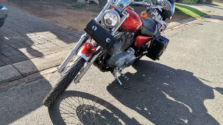 Harley-Davidson Sportster 883 - Lady Ann