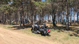 Suzuki Boulevard C50