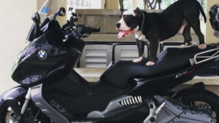 BMW C 600 Sport - Claudia
