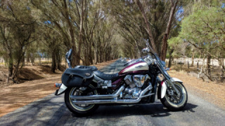 Suzuki Boulevard C109R - Rosie