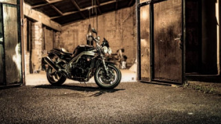 Triumph Speed Triple 955 - Her / She