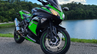 Kawasaki Ninja 300 - Mantis