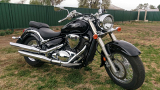 Suzuki Boulevard C50