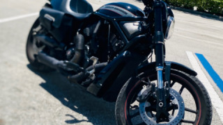 Harley-Davidson Night Rod - Cecilia