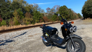 Honda Ruckus 