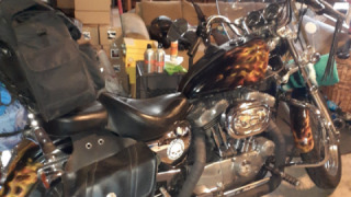 Harley-Davidson Sportster 1200