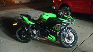 Kawasaki Ninja 650R - Pips