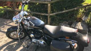 Harley-Davidson Sportster 1200