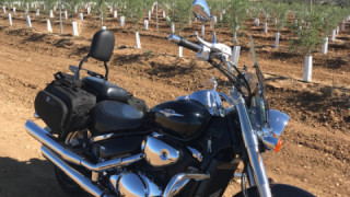 Honda VTX 1300