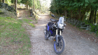Yamaha Tenere 700