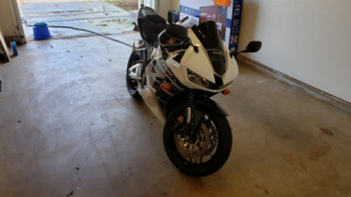 Honda CBR 600RR - Abby