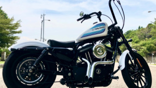 Harley-Davidson Sportster Ironhead - Knight horse