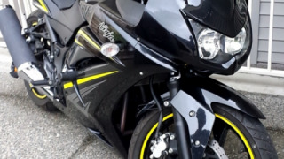 Kawasaki Ninja 250R - Her name was Petunia