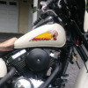Kawasaki Vulcan 800 Drifter - Juliana