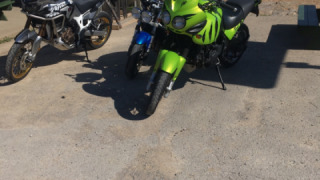 Triumph Tiger 955i