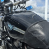 Harley-Davidson Sportster 1200 - Sporty