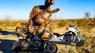 Indian Chieftain