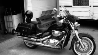 Suzuki VL 800 Volusia - baby
