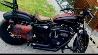 Harley-Davidson Sportster 883