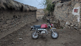 Honda Monkey
