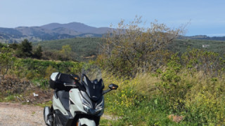 Honda Forza - Forza 250