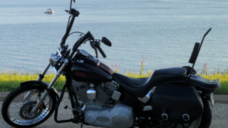 Harley-Davidson Softail Standard