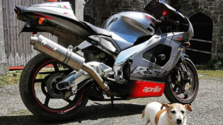 Aprilia RSV Mille 