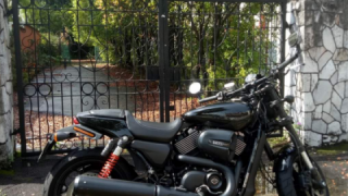 Harley-Davidson Street Rod - Harley Quinn