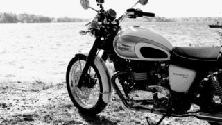 Triumph Bonneville T100 - Bonnie
