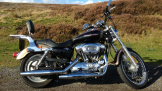 Harley-Davidson Sportster 1200 - Custom