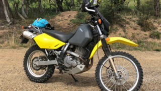 Suzuki DR 650 - Cruzer