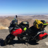 Suzuki V-Strom 1000 - El pajaro