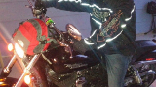 Harley-Davidson Street Bob - Zeke