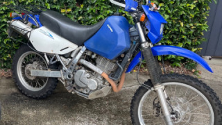 Suzuki DR 650 - Bush Pig