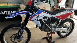 BMW G 450 X