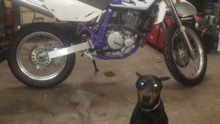 Suzuki DR 650 - Ole girl
