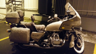 Honda GL 1100 - Leah