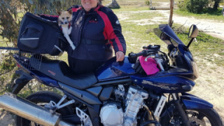 Suzuki GSF 1250 Bandit