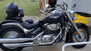 Suzuki Boulevard C50 - Animal