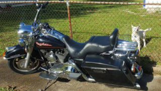 Harley-Davidson Road King
