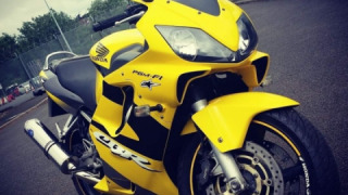 Honda CBR 600F4i - Bumblebee