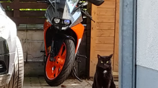KTM RC 125